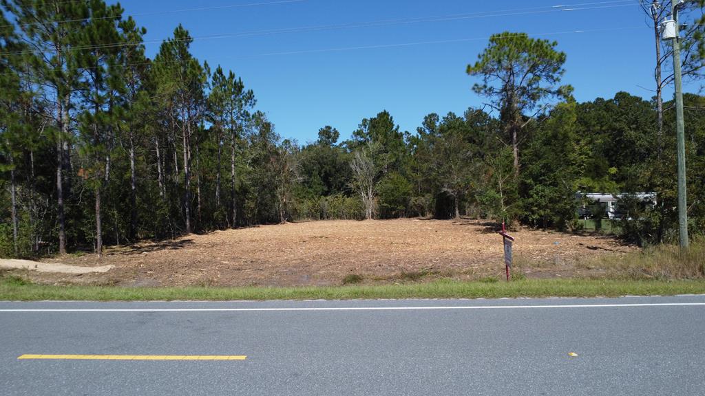 Lot 21 Doc Whitfield Road Wewahitchka, FL 32465 - Photo 1 of 13
