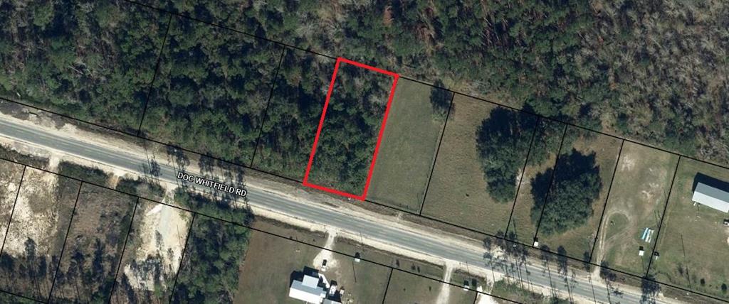 Lot 21 Doc Whitfield Road Wewahitchka, FL 32465 - Photo 2 of 13