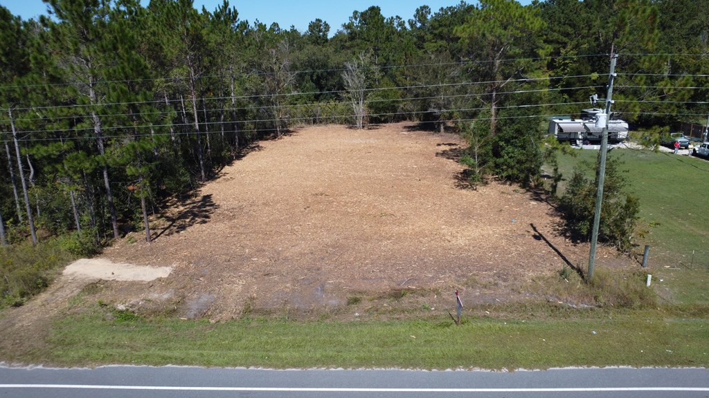 Lot 21 Doc Whitfield Road Wewahitchka, FL 32465 - Photo 4 of 13