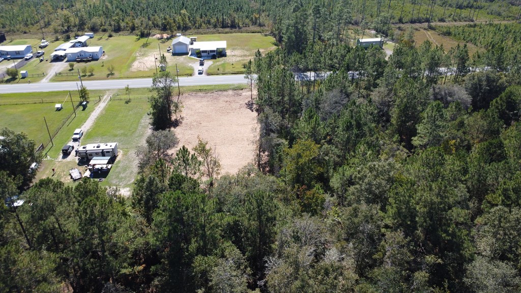 Lot 21 Doc Whitfield Road Wewahitchka, FL 32465 - Photo 6 of 13