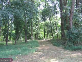 22 A Millstone Road Princeton Junction, NJ 08550 - Photo 3 of 6 Gallery Image 3