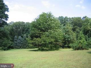22 A Millstone Road Princeton Junction, NJ 08550 - Photo 4 of 6 Gallery Image 4