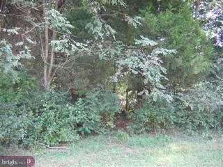 22 A Millstone Road Princeton Junction, NJ 08550 - Photo 5 of 6 Gallery Image 5