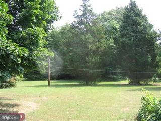 22 A Millstone Road Princeton Junction, NJ 08550 - Photo 6 of 6 Gallery Image 6