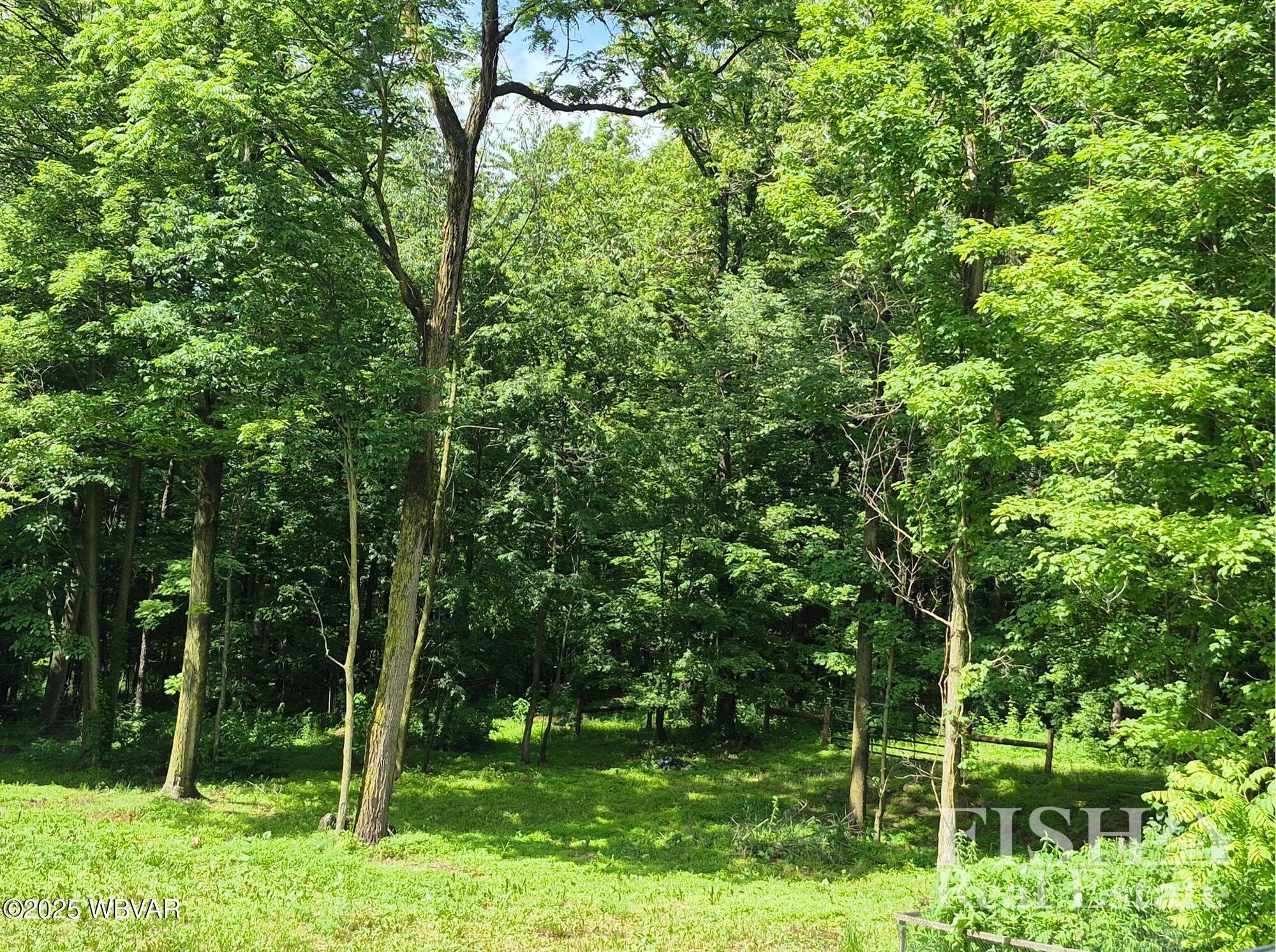 3178 West Winter Road Loganton, PA 17747 - Photo 19 of 33 24