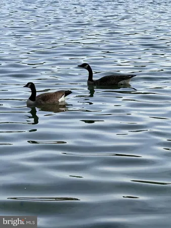 $799,999 | 8747 Polished Pebble Way, Laurel, MD 20723