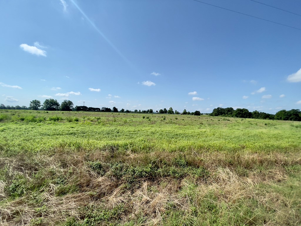 0 Gilley Mill Road Webb, AL 36376 - Photo 4 of 14