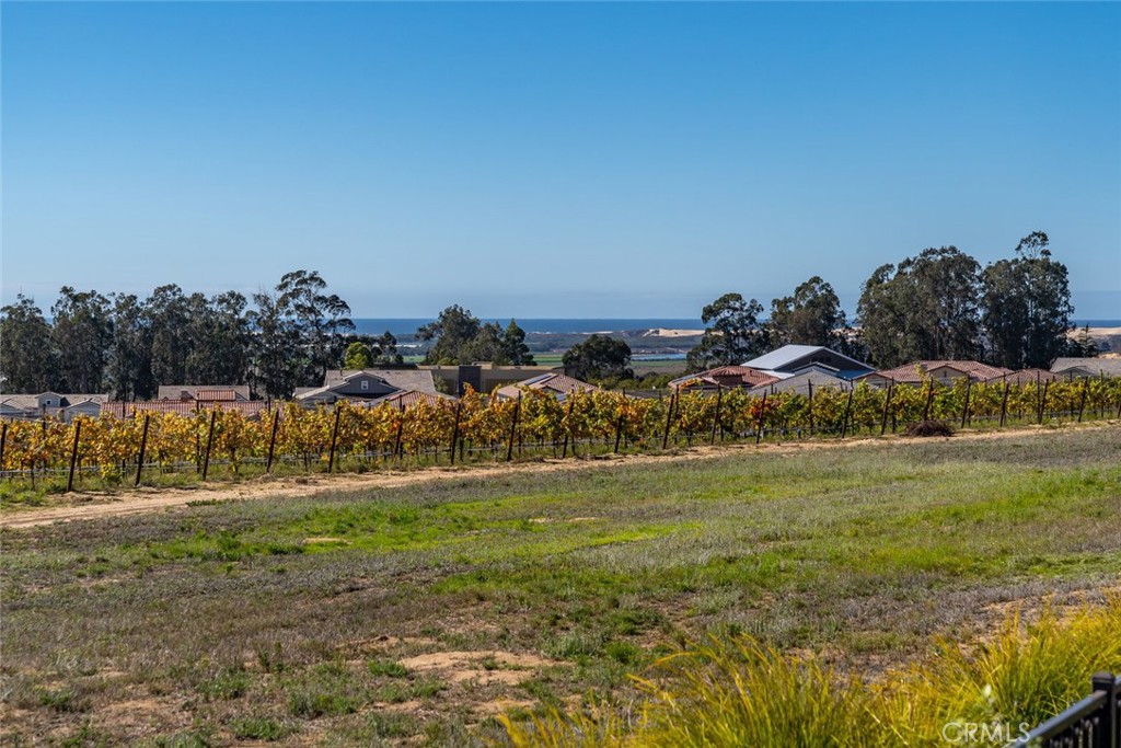 1650 Eucalyptus Road Nipomo, CA 93444 - Photo 33 of 60 a view of a field with an trees