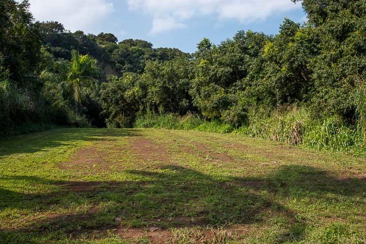 112 Kahiapo Place Haiku, HI 96708 - Photo 9 of 28 a view of a field with a tree