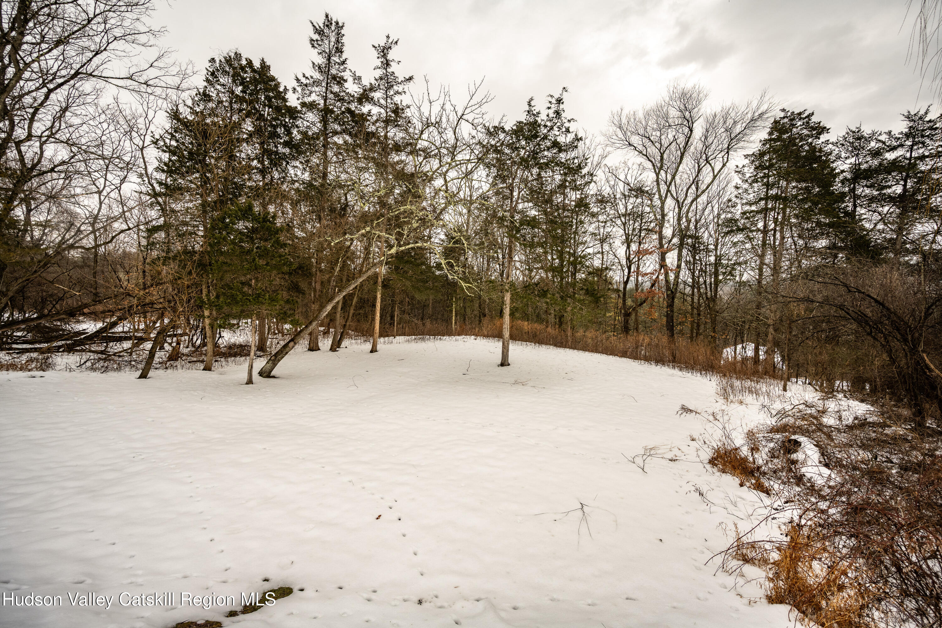2860 Old Kings Road Catskill, NY 12414 - Photo 5 of 21 a view of a yard with a tree
