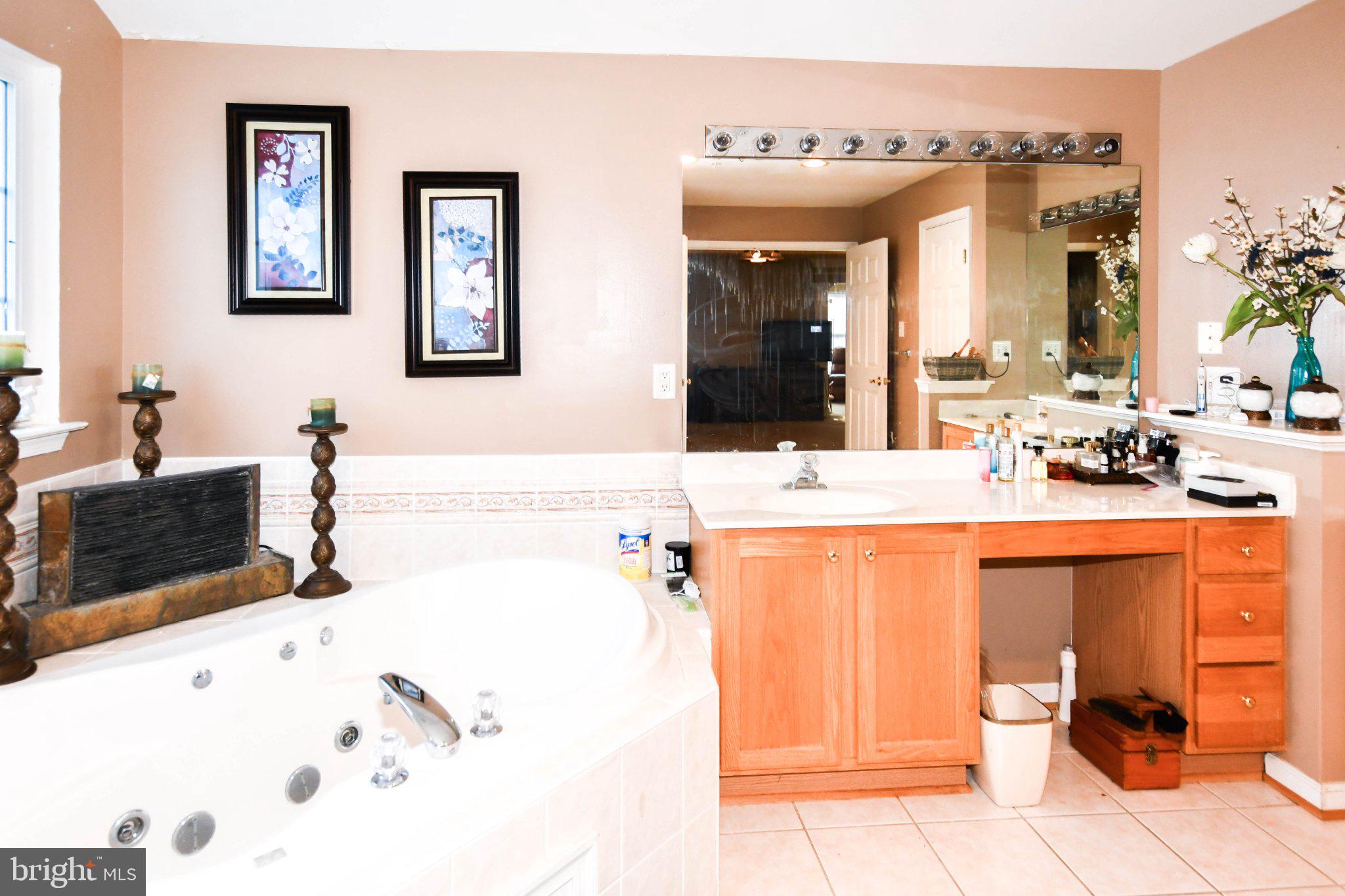 3208 Clavier Place Clinton, MD 20735 - Photo 50 of 55 a bathroom with a sink and a mirror