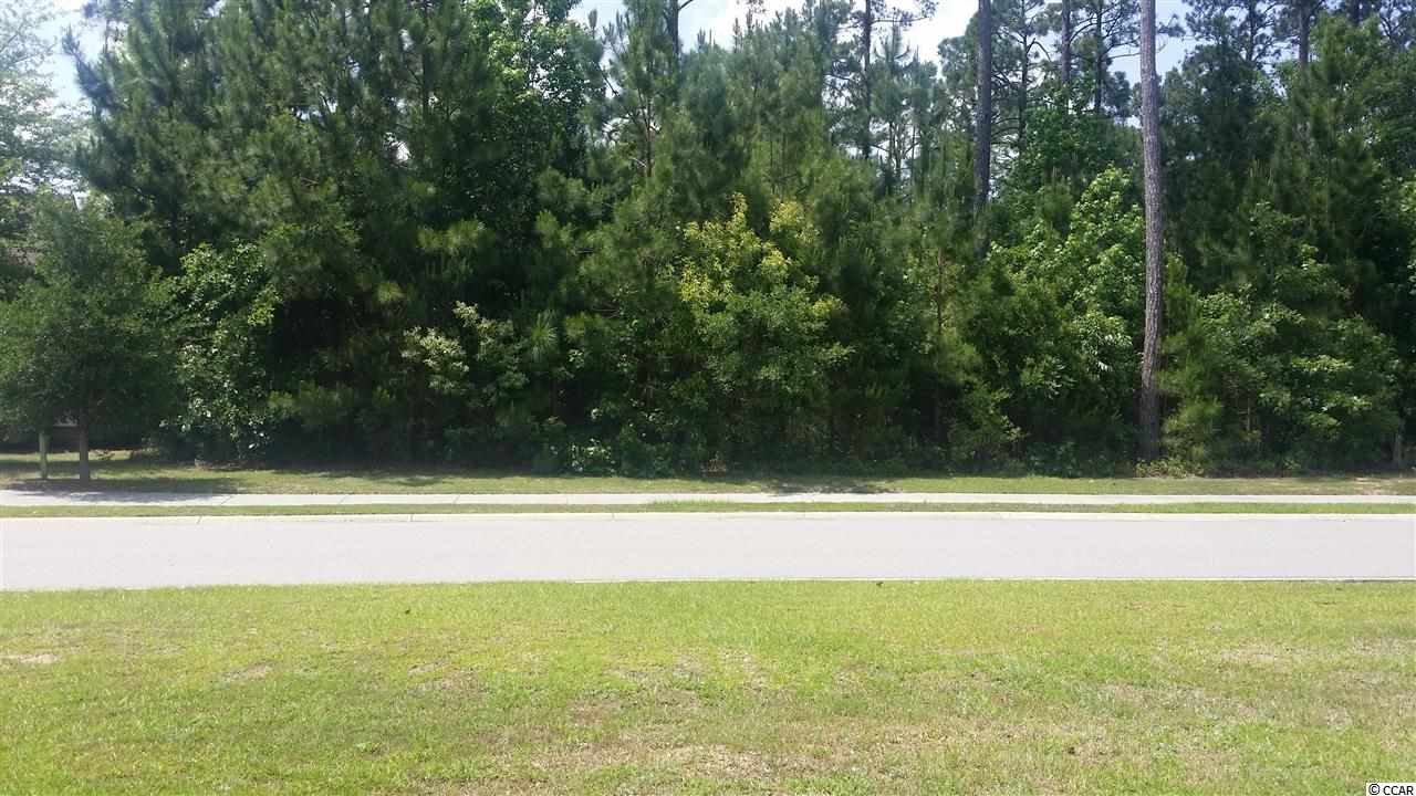 Cascade Drive Murrells Inlet, SC 29576 - Photo 1 of 12 Gallery Image 1