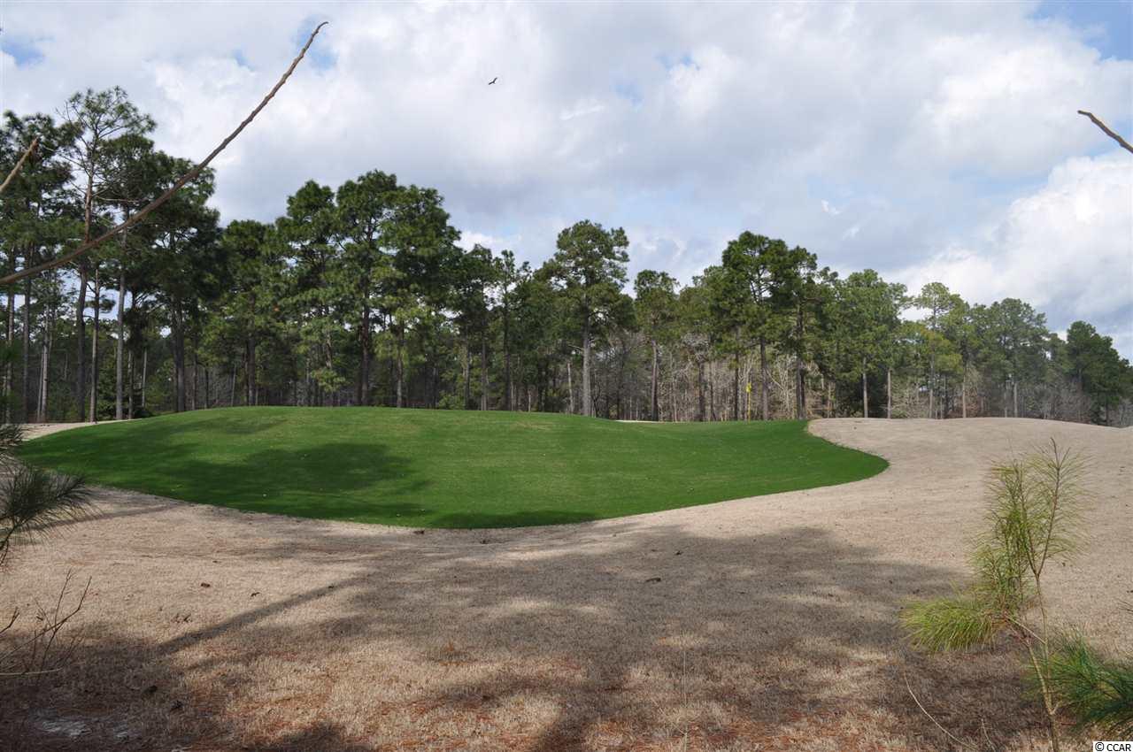 Cascade Drive Murrells Inlet, SC 29576 - Photo 10 of 12 Gallery Image 10