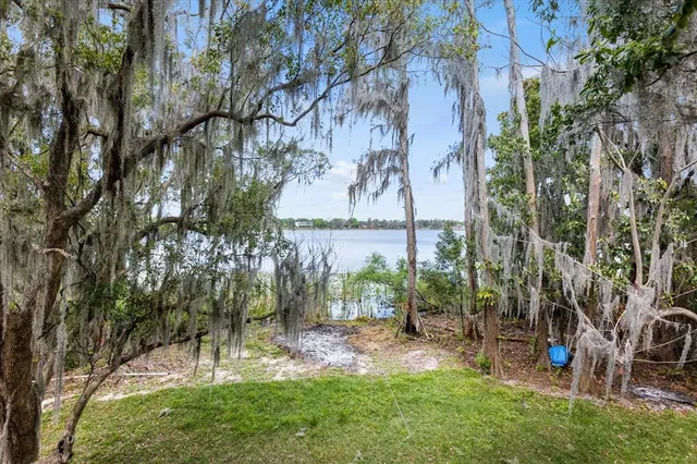 a view of a yard with a tree