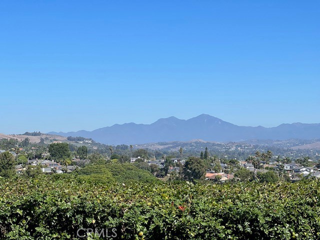 33622 Via Martos Dana Point, CA 92629 - Photo 2 of 46 Fantastic Forever Views of the Saddleback Mountains!