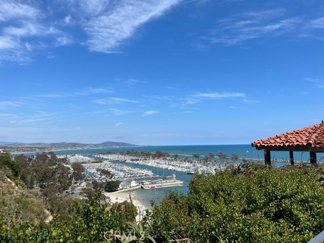 33622 Via Martos Dana Point, CA 92629 - Photo 43 of 46 Dana Point Harbor