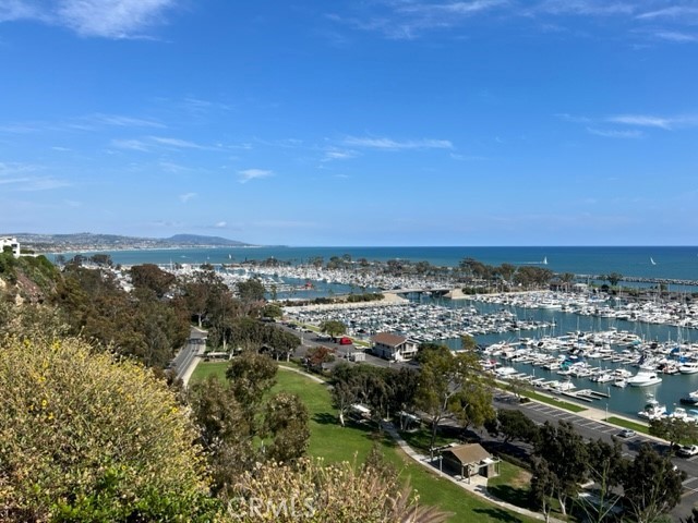 33622 Via Martos Dana Point, CA 92629 - Photo 45 of 46 an aerial view of multiple house