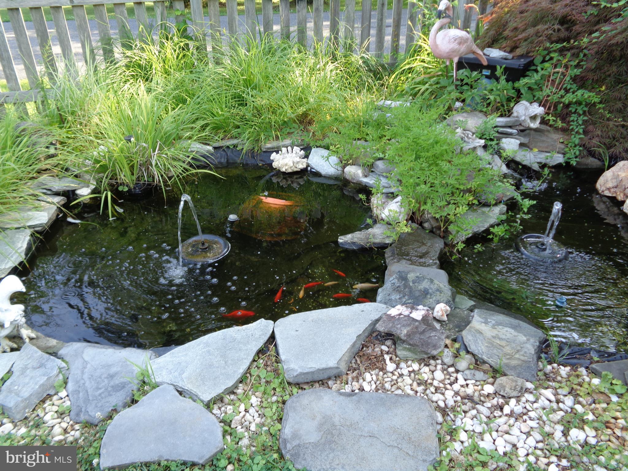 1213 Daves Road Edgewater, MD 21037 - Photo 60 of 69 Koi Pond