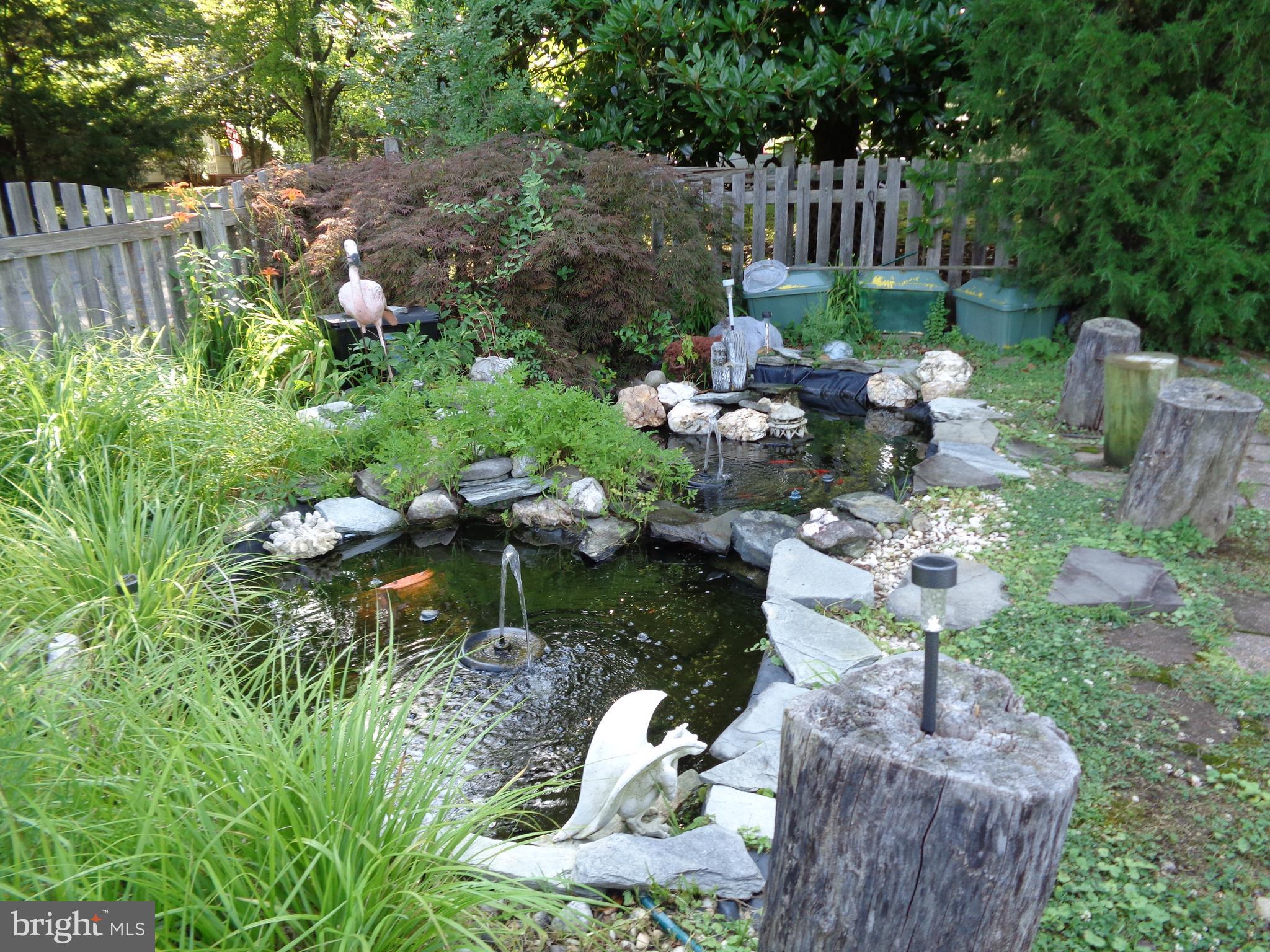 1213 Daves Road Edgewater, MD 21037 - Photo 61 of 69 Koi Pond