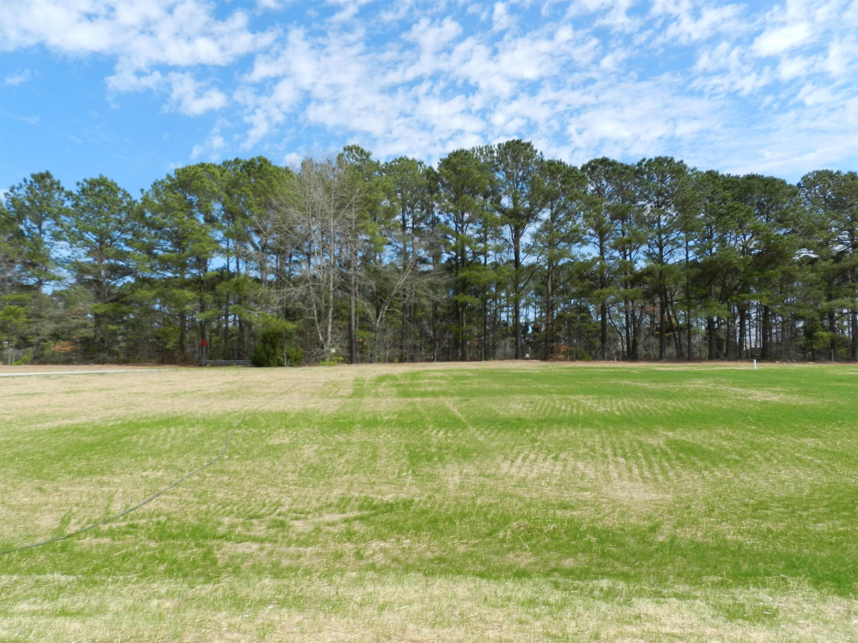 33 Tractor Place Willow Spring, NC 27592 - Photo 12 of 13 Photo 12
