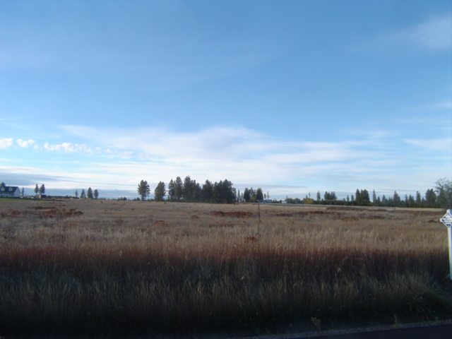 216 East Chattaroy Road Colbert, WA 99005 - Photo 3 of 8