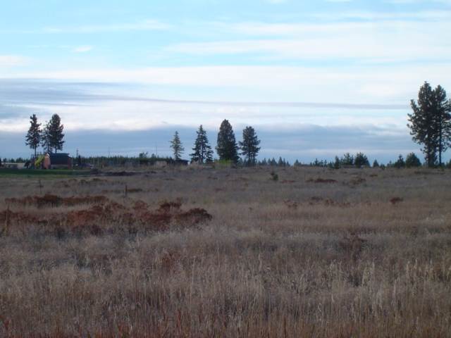 216 East Chattaroy Road Colbert, WA 99005 - Photo 4 of 8