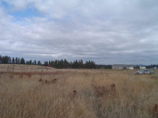 216 East Chattaroy Road Colbert, WA 99005 - Photo 6 of 8