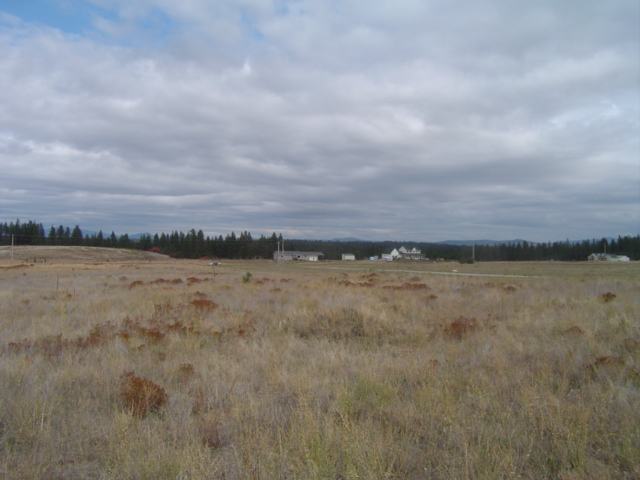 216 East Chattaroy Road Colbert, WA 99005 - Photo 7 of 8
