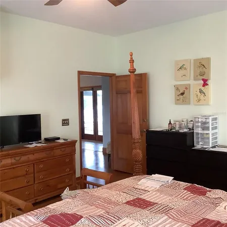 a view of backyard with plants and trees