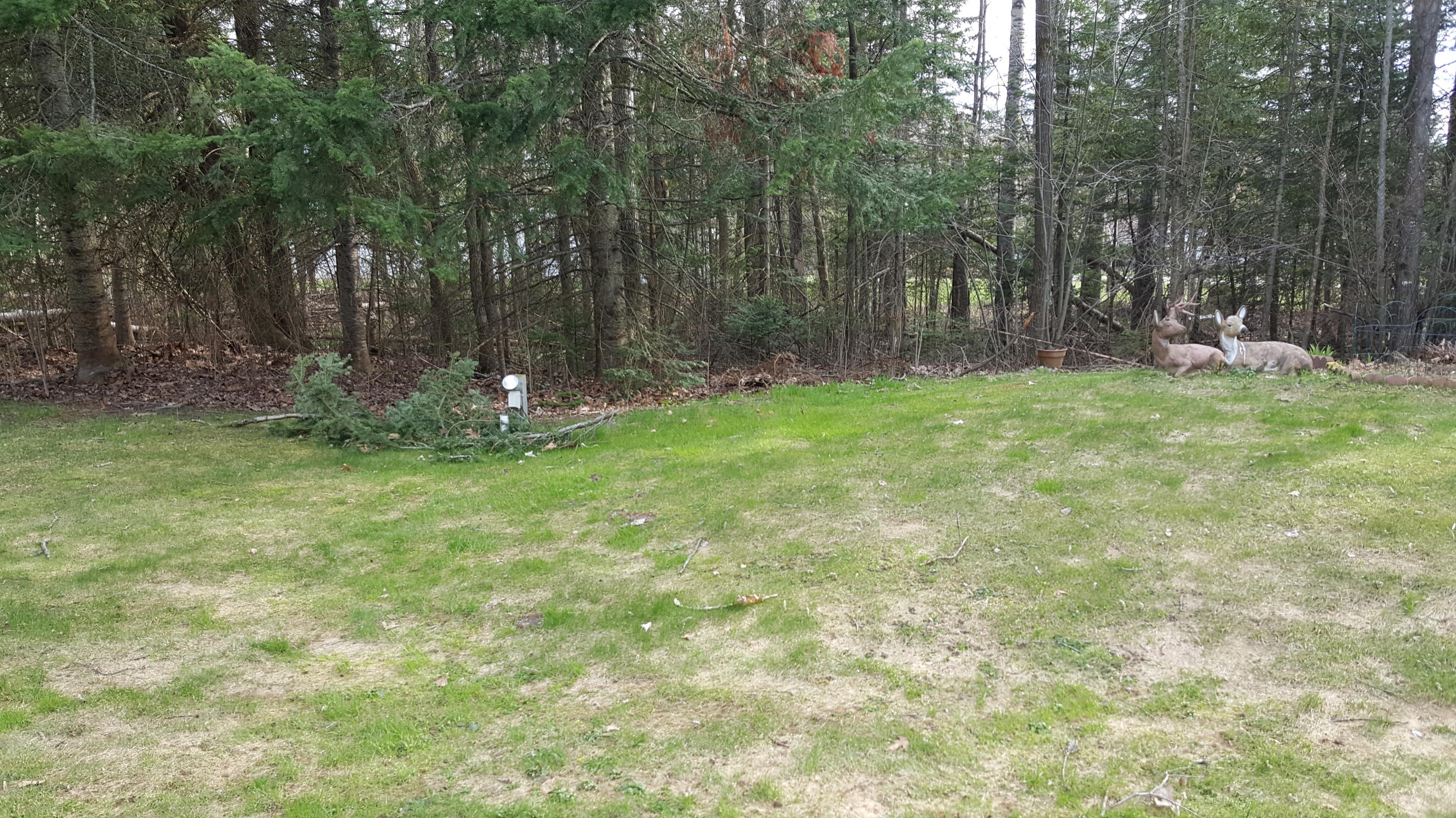 1701 Bowersock Road Indian River, MI 49749 - Photo 32 of 44 Gallery Image 32