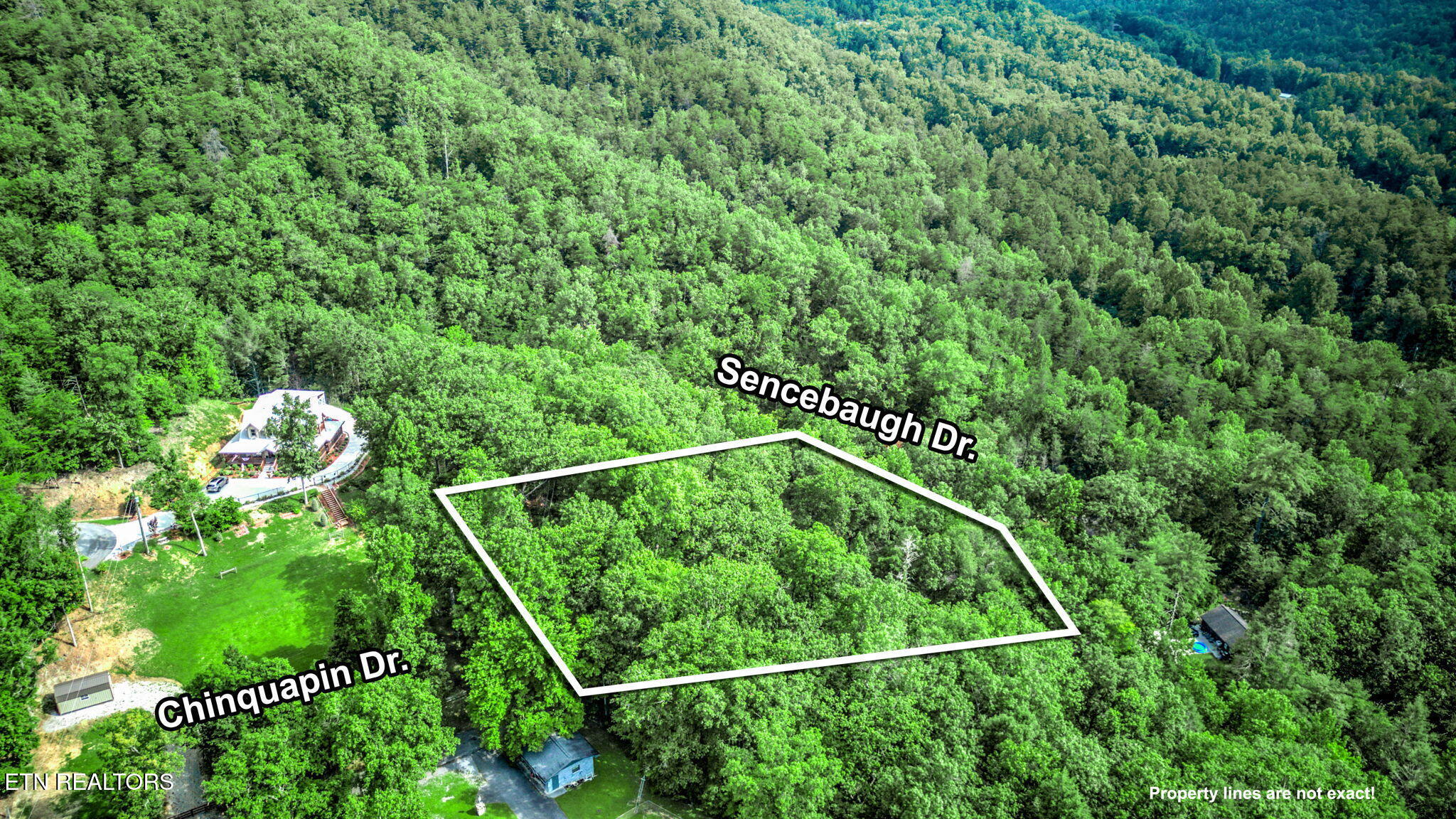 Chinquapin Sevierville, TN 37876 - Photo 2 of 6 1-web-or-mls-DJI_20250722102301_0166_D_7
