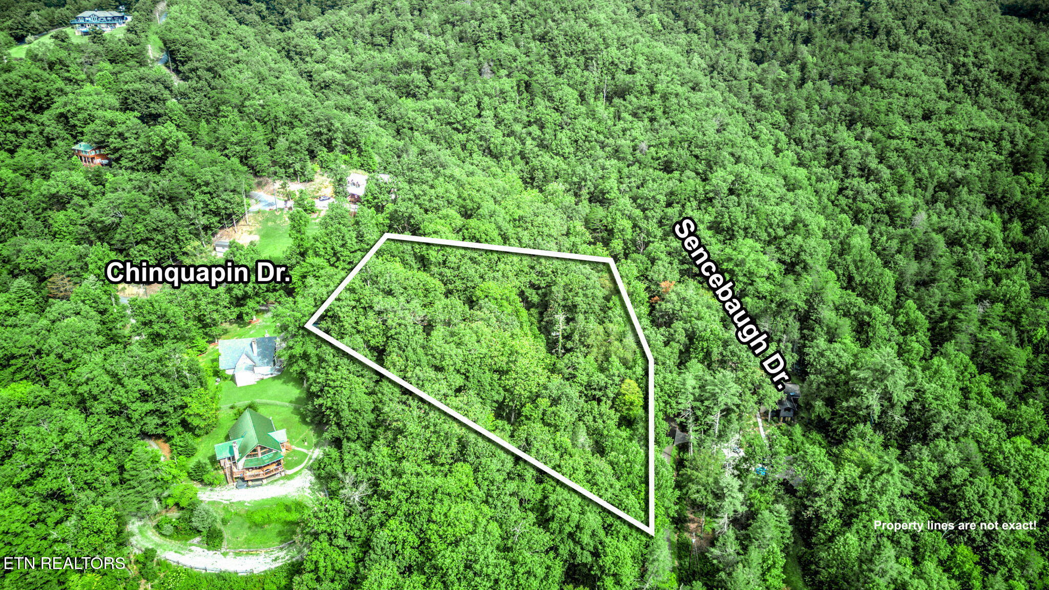 Chinquapin Sevierville, TN 37876 - Photo 3 of 6 2-web-or-mls-DJI_20250722102330_0169_D_7