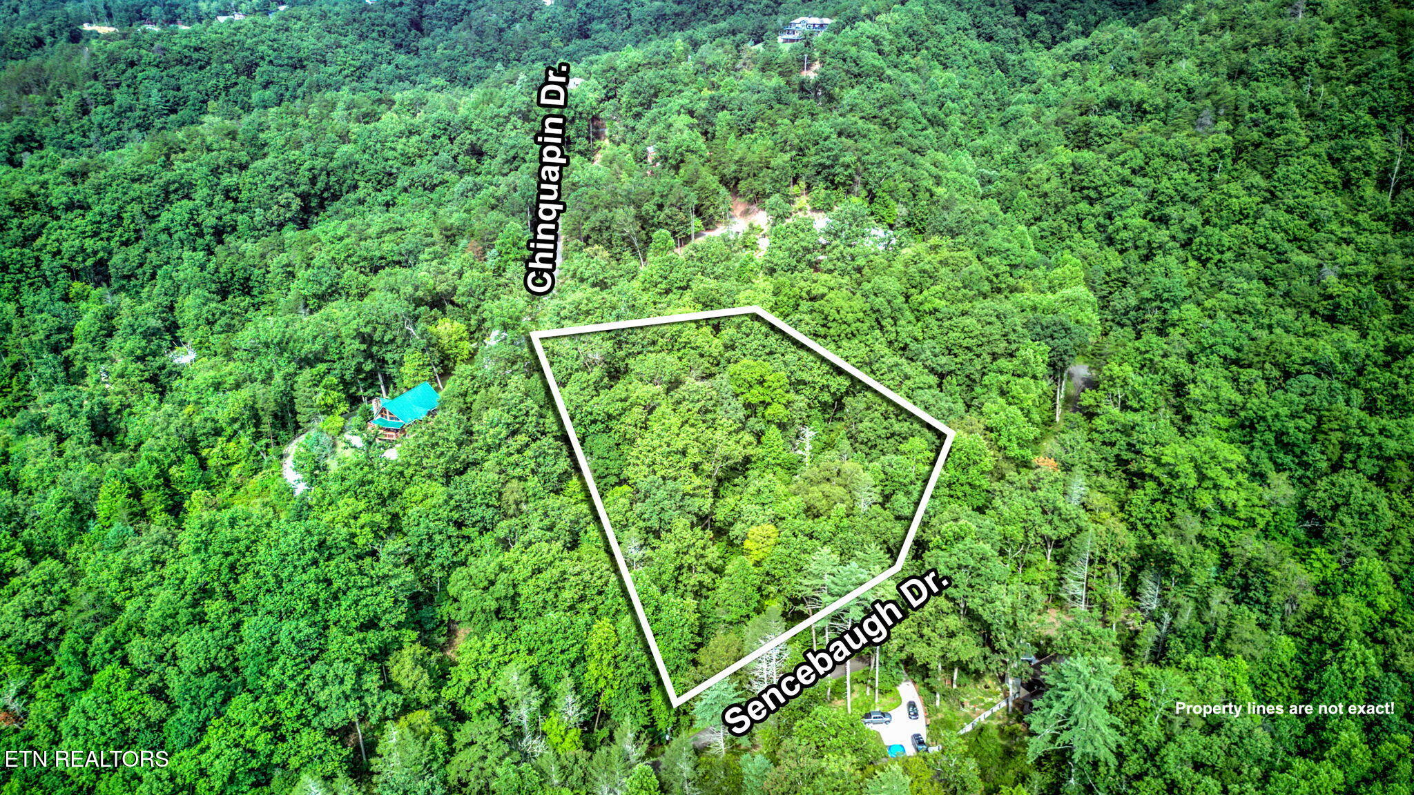 Chinquapin Sevierville, TN 37876 - Photo 4 of 6 3-web-or-mls-DJI_20250722102356_0172_D_3