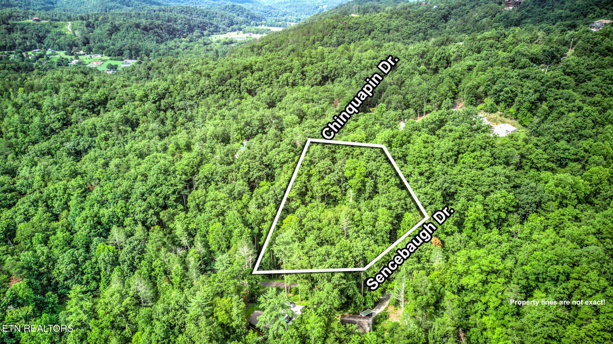 Chinquapin Sevierville, TN 37876 - Photo 5 of 6 4-web-or-mls-DJI_20250722102418_0175_D_6