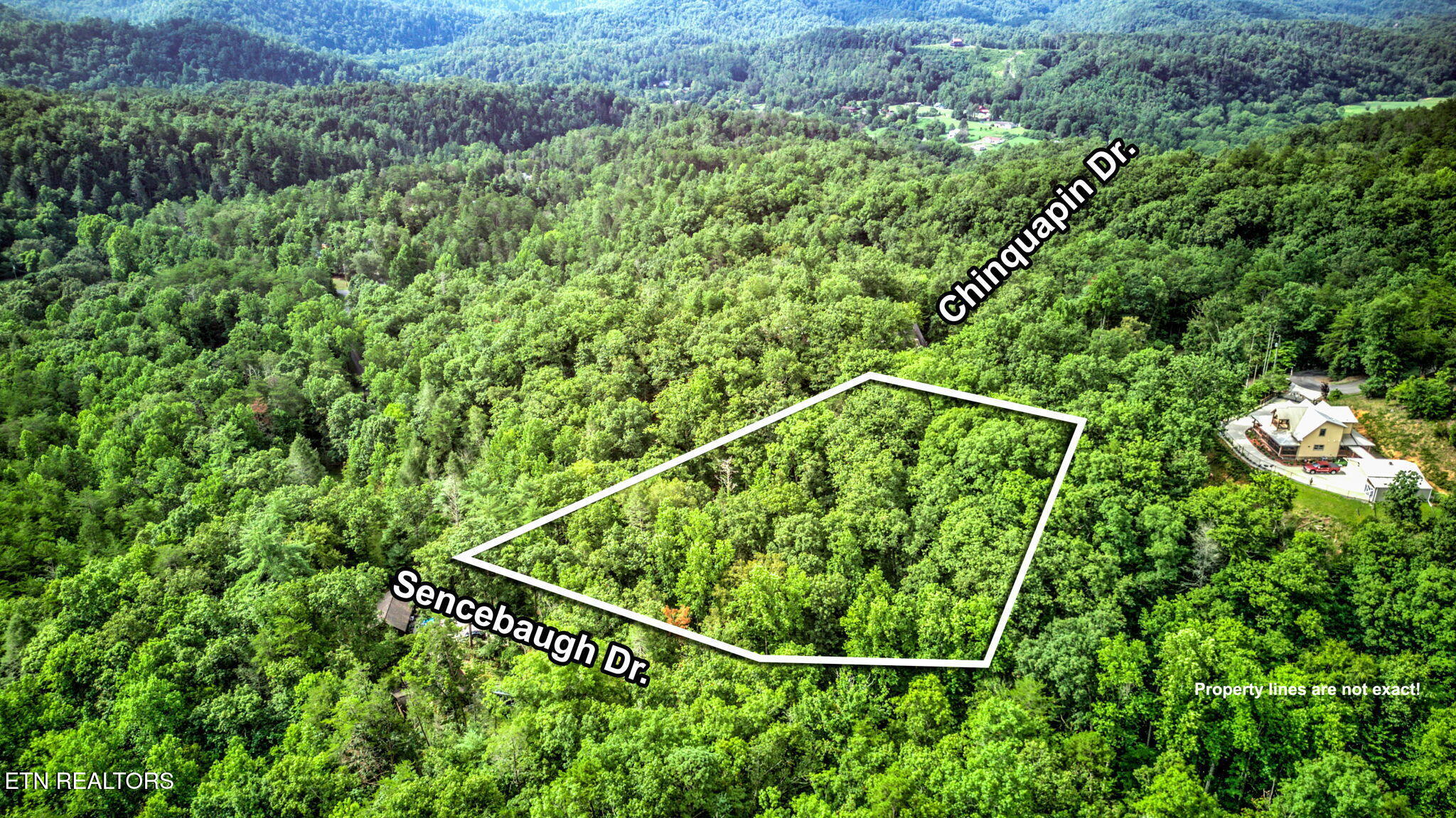 Chinquapin Sevierville, TN 37876 - Photo 6 of 6 5-web-or-mls-DJI_20250722102447_0178_D_7