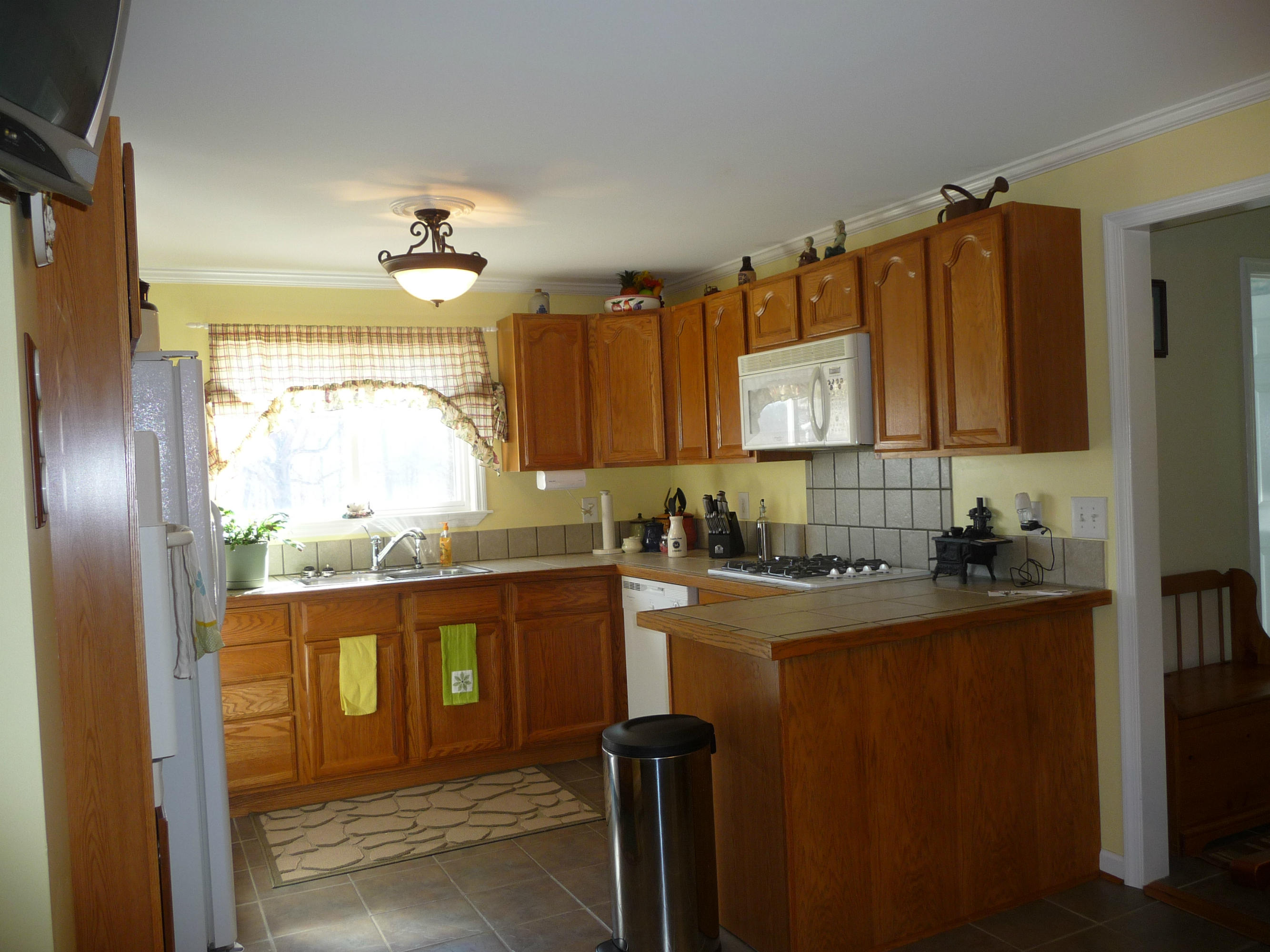 962 Paint Bank Road Salem, VA 24153 - Photo 80 of 111 P1130163