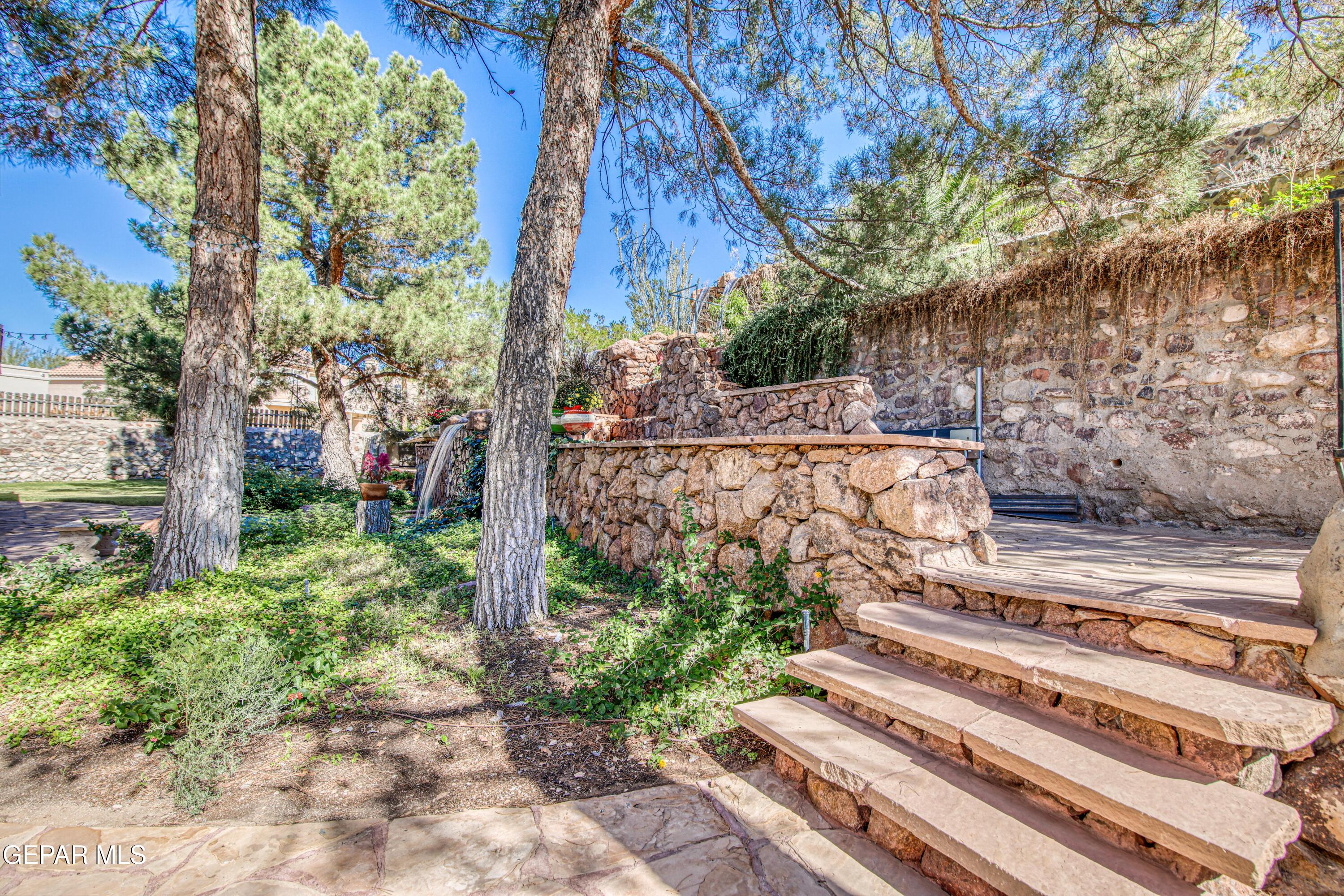 6620 Imperial Ridge Drive El Paso, TX 79912 - Photo 43 of 50 a view of a yard with plants and trees