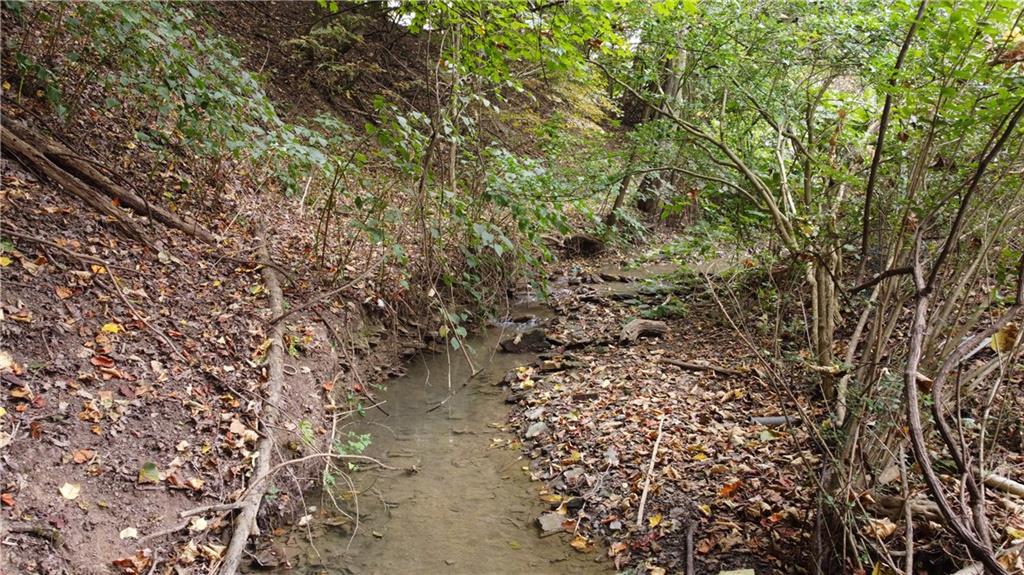 143 Coal Valley Road Clairton, PA 15025 - Photo 28 of 37 a view of a yard with a tree