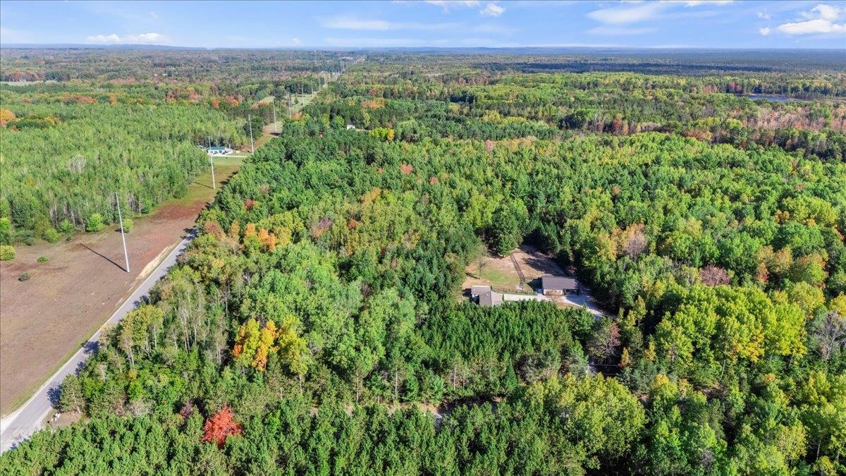 6440 Webb Road Hale, MI 48739 - Photo 8 of 70