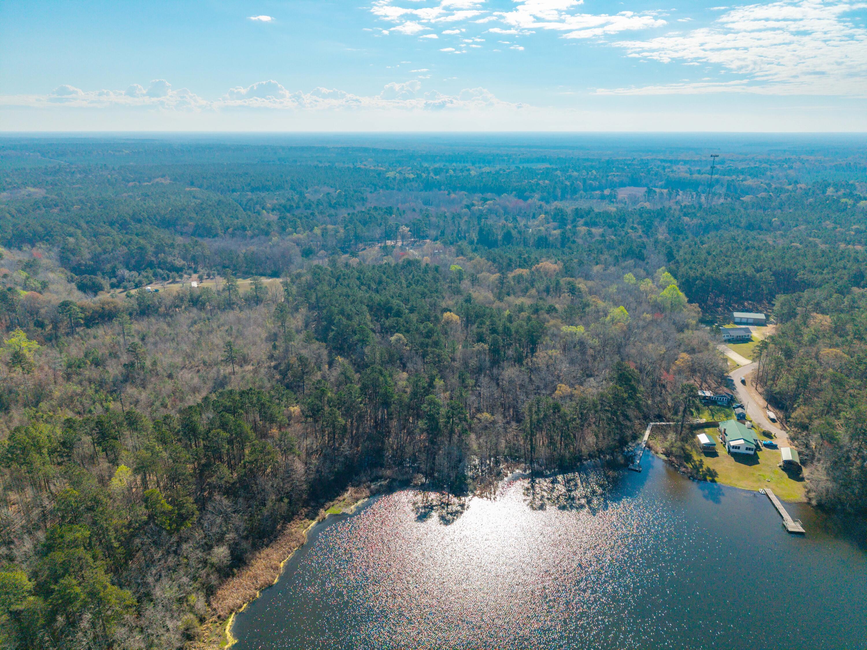 1746 Stukes Road Manning, SC 29102 - Photo 4 of 10 DJI_20260310104849_0117_D