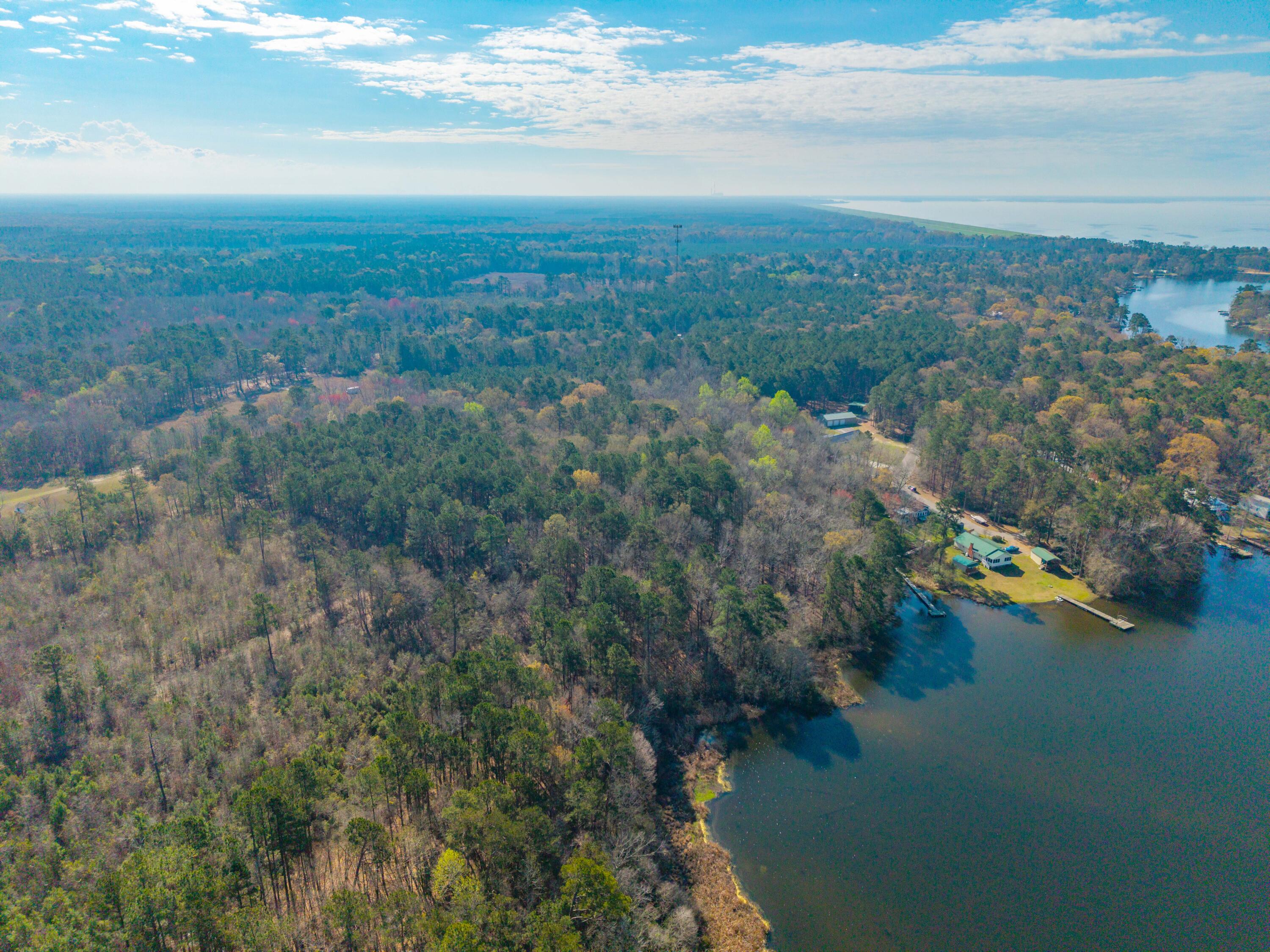 1746 Stukes Road Manning, SC 29102 - Photo 6 of 10 DJI_20260310104832_0116_D