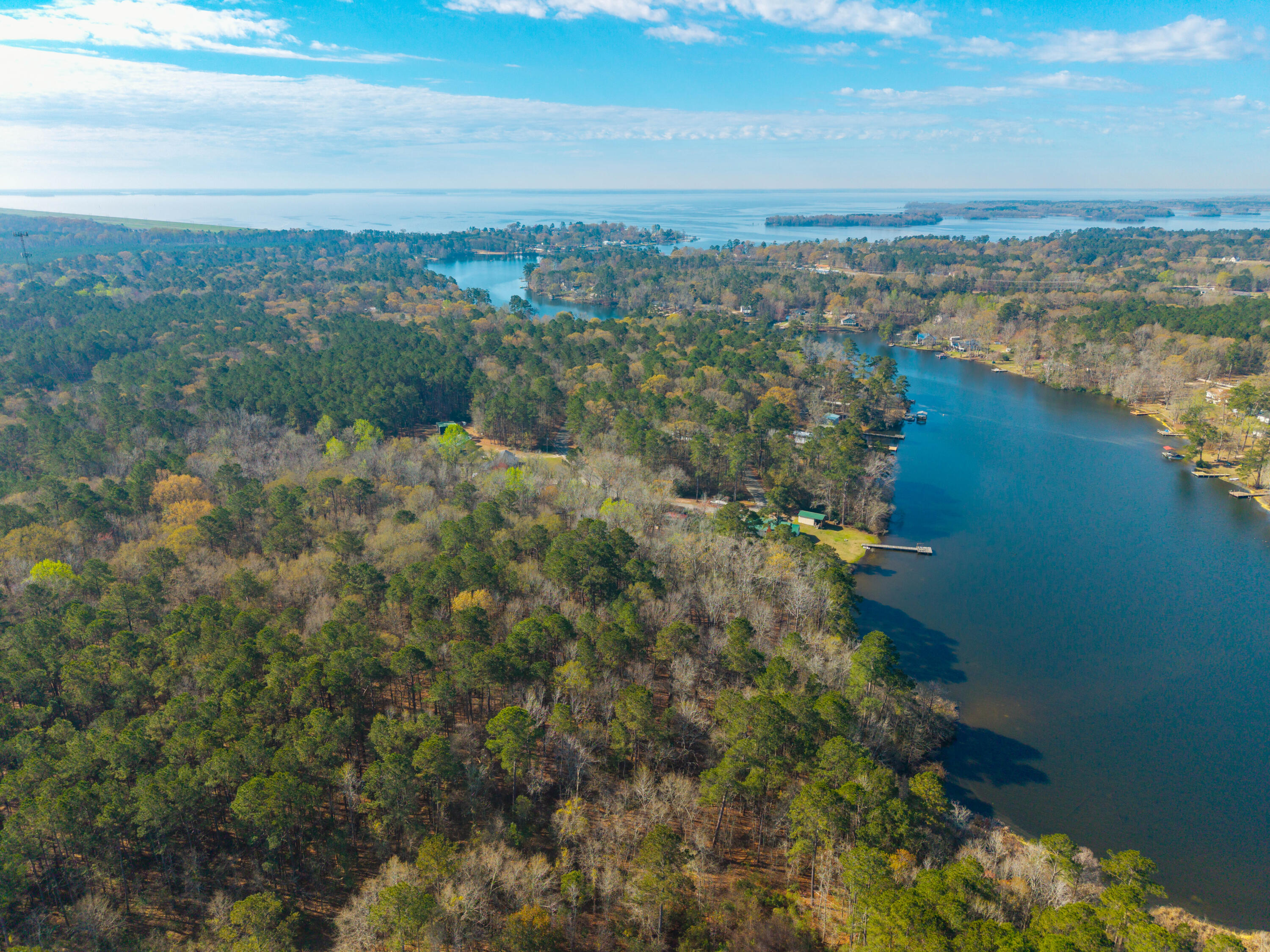 1746 Stukes Road Manning, SC 29102 - Photo 7 of 10 DJI_20260310104748_0115_D