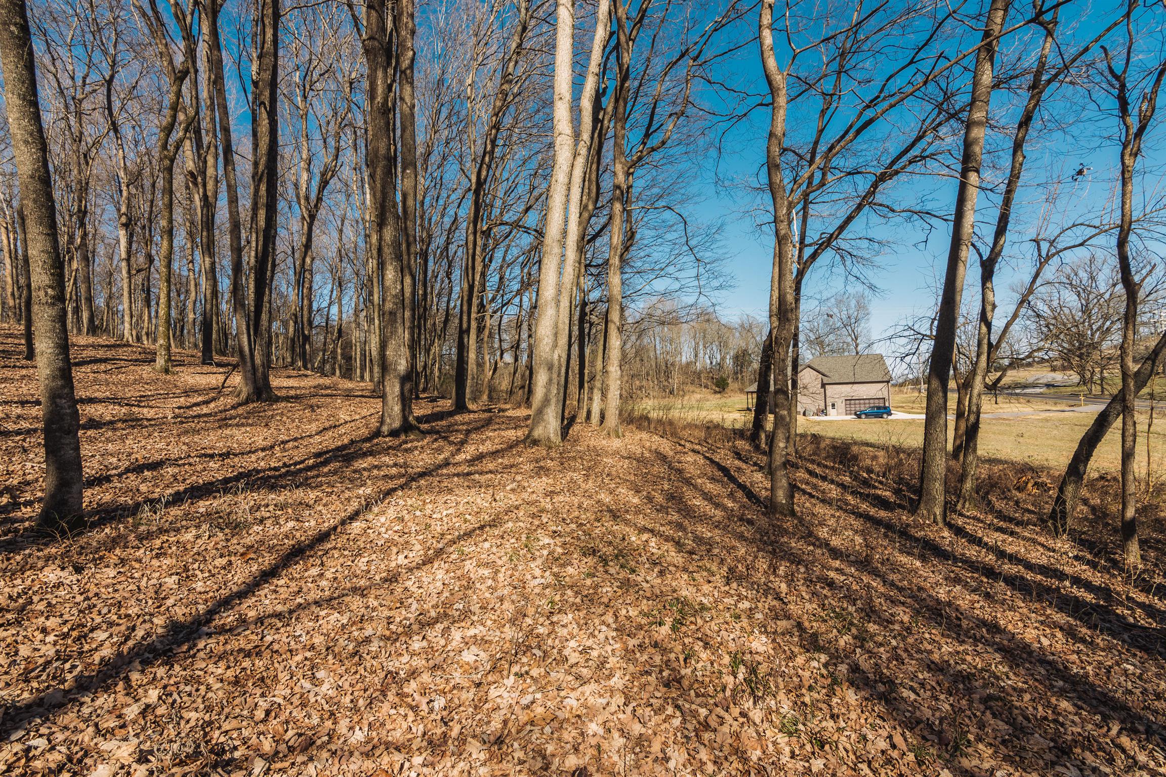 3 Old Murfreesboro Road West Lebanon, TN 37090 - Photo 9 of 18 Gallery Image 9