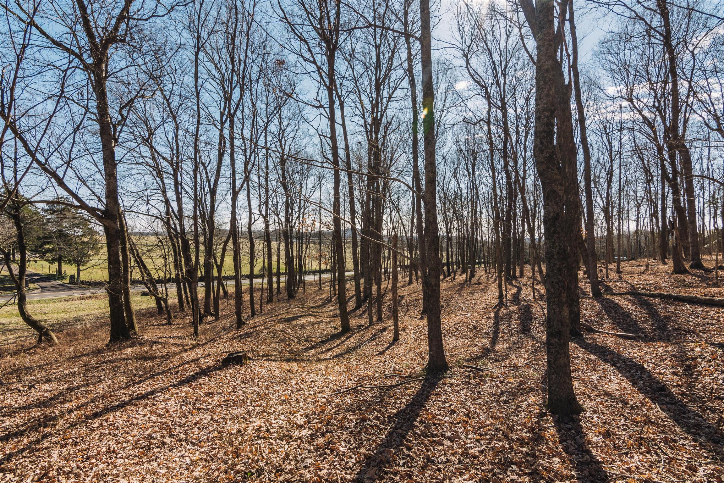 3 Old Murfreesboro Road West Lebanon, TN 37090 - Photo 10 of 18 Gallery Image 10