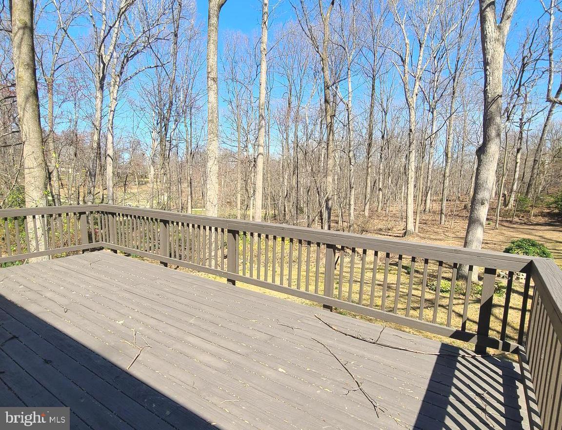 11208 Wedge Drive Reston, VA 20190 - Photo 35 of 38