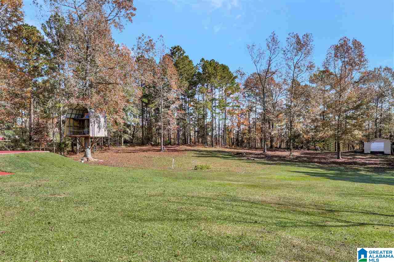 1202 Fincher Road Pell City, AL 35128 - Photo 14 of 25