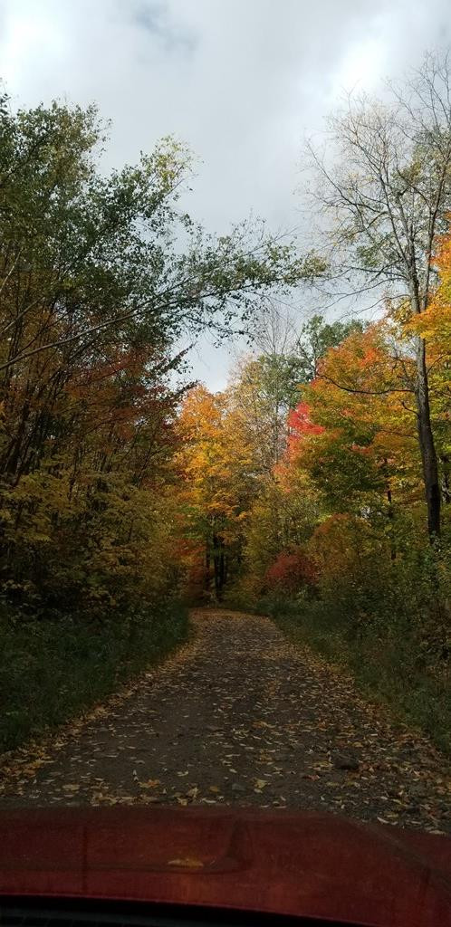 . Boomhower Road Lyon Mountain, NY 12952 - Photo 22 of 25 Gallery Image 22