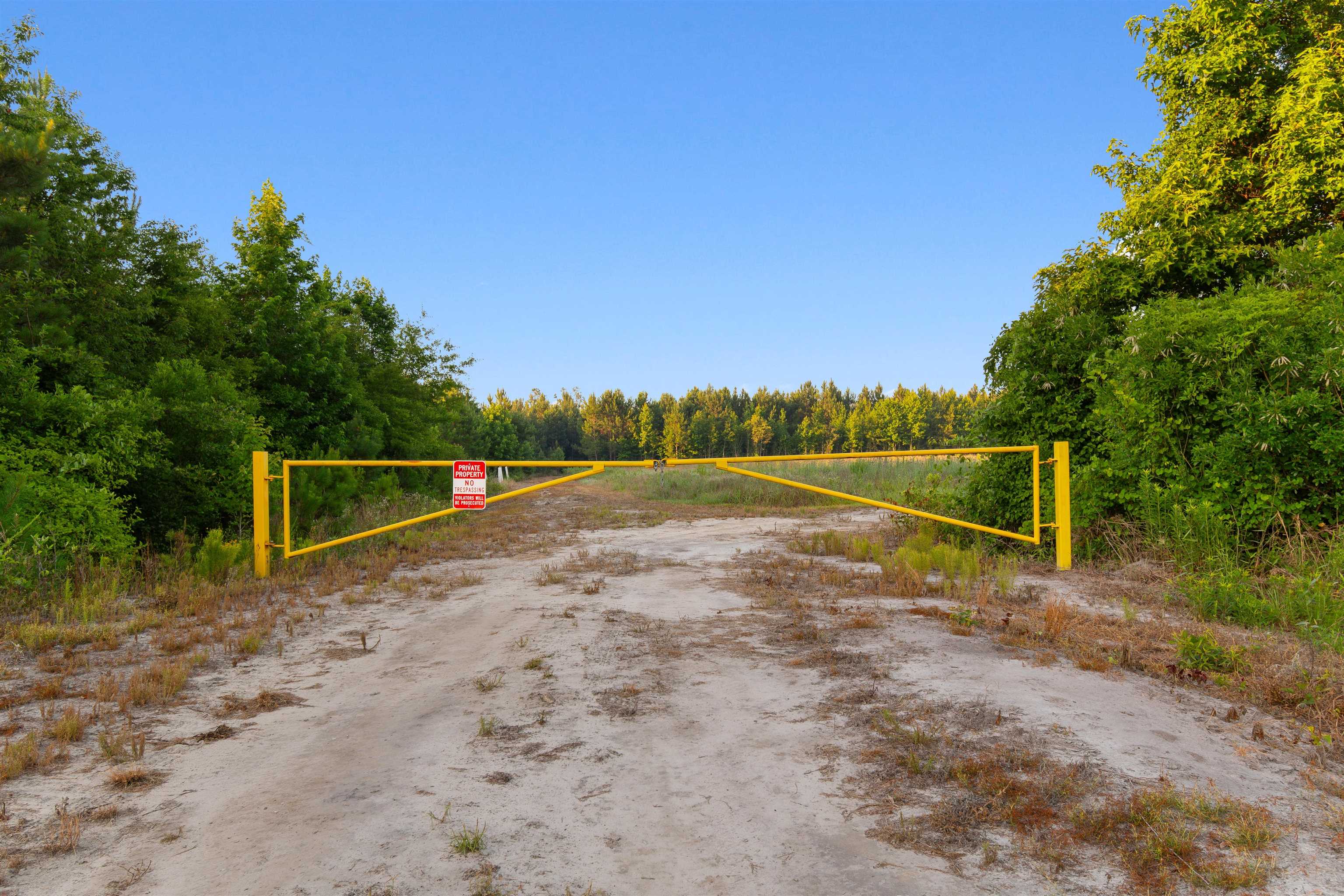 77-acres - Tbd Bert Hanna Road Hemingway, SC 29554 - Photo 3 of 28