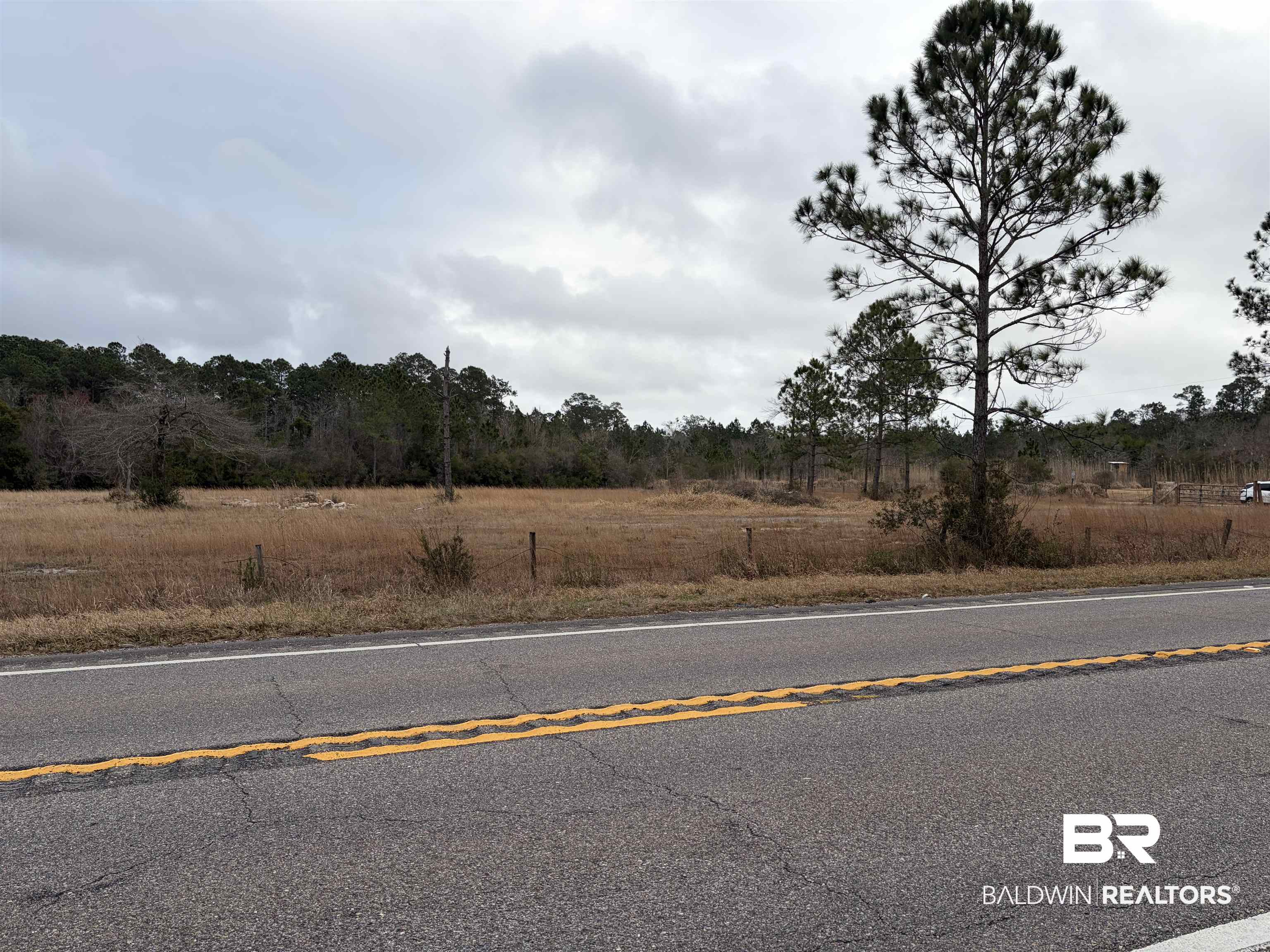 10585 Bellingrath Road Theodore, AL 36582 - Photo 3 of 14 View of asphalt road