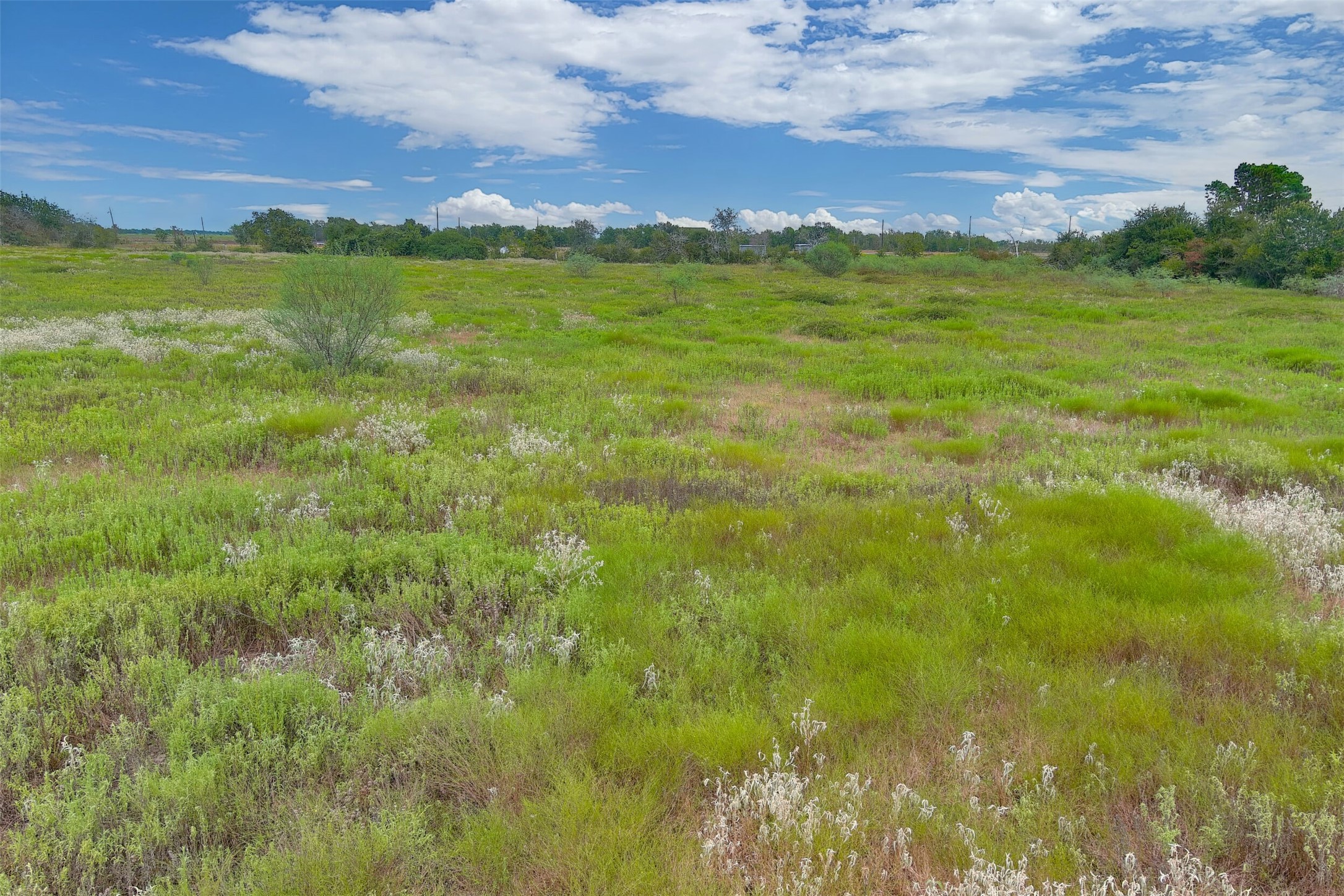 A A Battle Road Kendleton, TX 77417 - Photo 6 of 18 Gallery Image 6